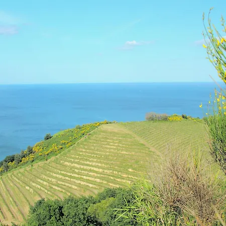Apartment Apartment In Tavullia With Adriatic Views, Cleaning Included